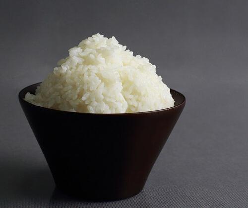 吃米饭和面食哪个更容易胖（吃面跟米饭哪个更容易胖）