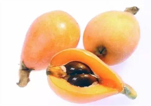 枇杷怎么吃最养生 推荐3款养生吃法