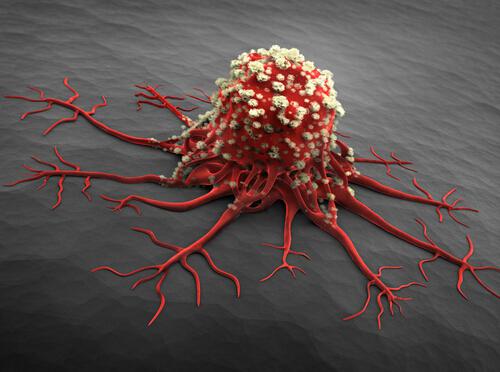 癌症原来竟是这样得来的(癌症到底是怎么得来的)