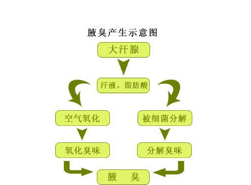 青春期有狐臭怎么办（青春期有狐臭怎么治疗）