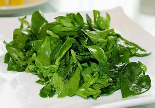 吃什么对扁桃体发炎好（吃什么有利于扁桃体发炎）