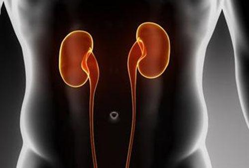 如何预防肾结石(如何预防肾结石疼痛)