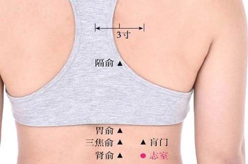 志室的准确位置图（志室的准确位置图窍门）