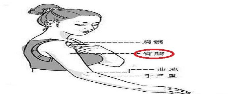 臂臑的定位（臂臑的定位方法）