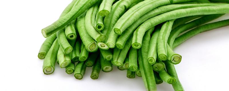 豆角的热量是多少（豆角的热量是多少大卡）
