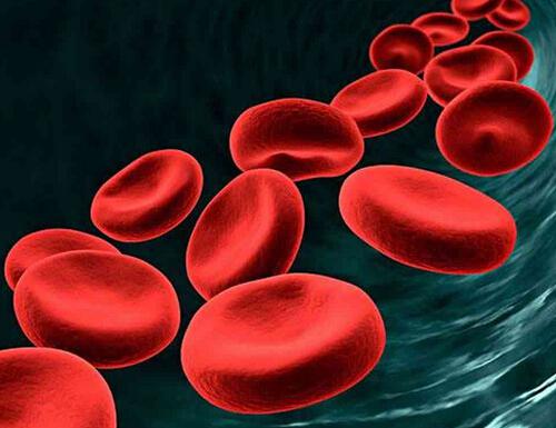 关于女性贫血的五大误区 女人贫血的六大原因