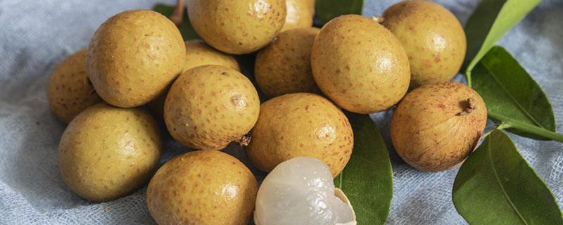 为什么湿气重的人不能吃桂圆 体内湿气重为什么不能吃桂圆