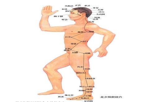足少阳胆经的准确位置图（足少阳胆经的准确位置图片）