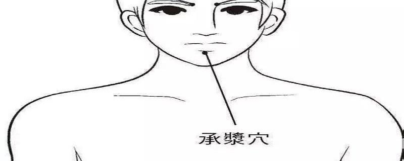 承浆是什么意思（承浆怎么读）