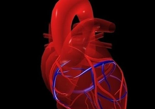 嘴唇黑跟心脏有关系吗（嘴唇黑是有心脏病吗）