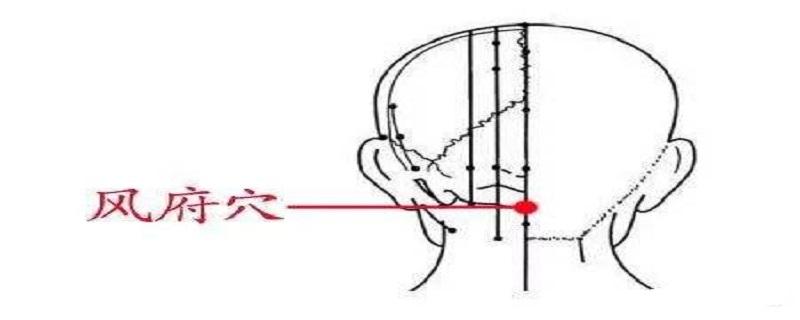风府是什么经络 风池风府是什么经络