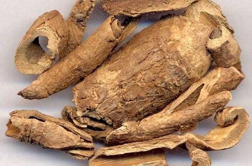 利尿通淋的中药有哪些 利水通淋的中药有哪些