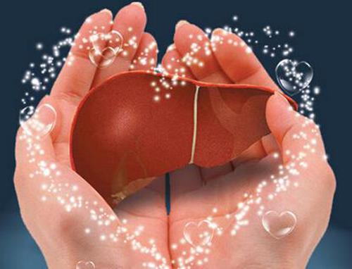 如何养护肝脏 如何养护肝脏功能