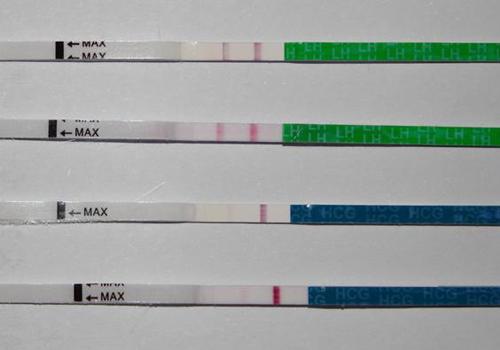 验孕试纸两条杠会不会有错（验孕试纸出现两条杠一定是怀孕吗）
