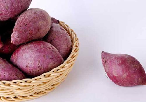 紫薯的食用禁忌 紫薯不能和什么一起吃