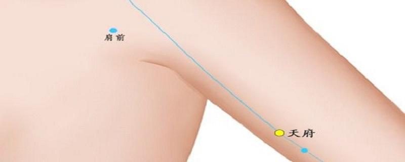 天府的功能与作用 天府的准确位置及功效