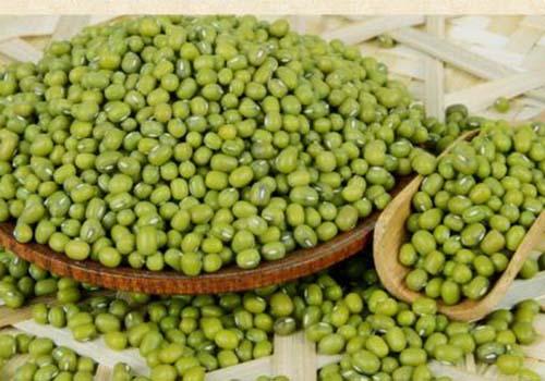 芒种吃什么食物（芒种吃什么食物最好）