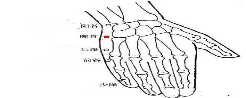 前谷的作用是什么 前谷的定位和主治