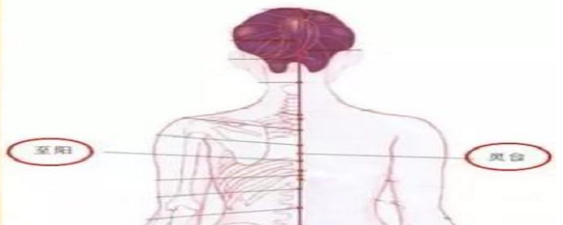 人的灵台在哪个位置（灵台具体位置）