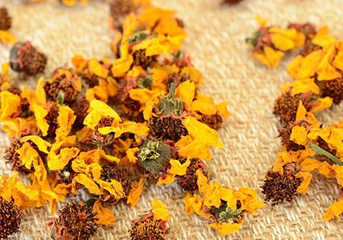 喝雪菊对月经有影响吗(喝雪菊会不会影响月经)