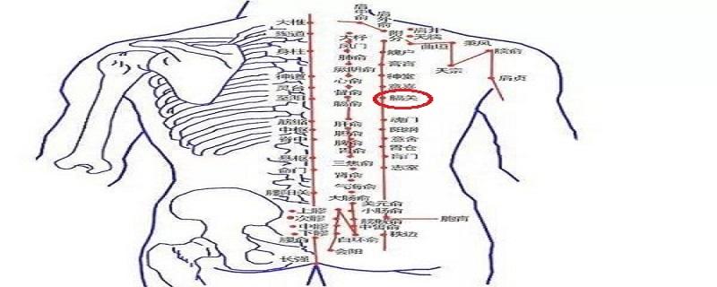 膈关疼痛是什么原因（膈关疼是怎么回事）