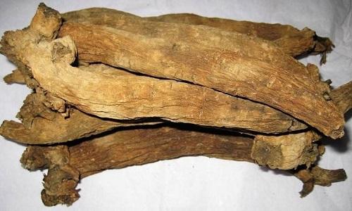 清热凉血的中药有哪些 什么中药凉血清血热