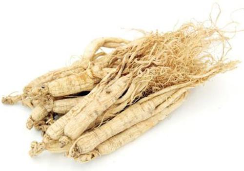 白血病不能吃那些食物（白血病可以吃的食物）