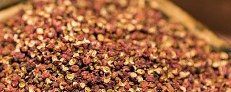 花椒有虫怎么驱虫（花椒如何驱虫）