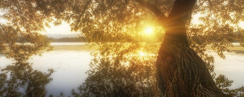 三伏过后还热吗（三伏天以后还热吗）