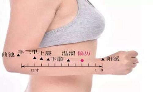 偏历的准确位置图（偏历的准确位置图和作用视频）