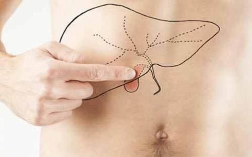 什么食物伤肝（什么食物伤肝脏）