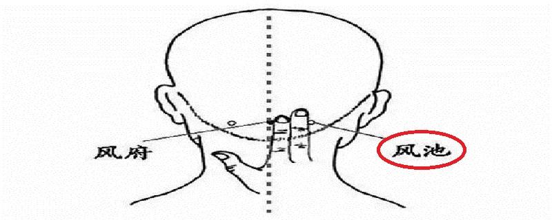 风池怎么找最简便（风池的准确位置图怎么找）