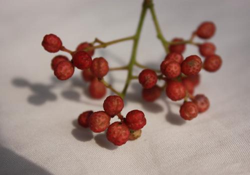 花椒和艾叶泡脚的功效 小小两物泡脚作用大！