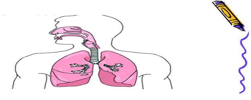 肺部感染的症状是什么 肺部感染的症状是什么样的