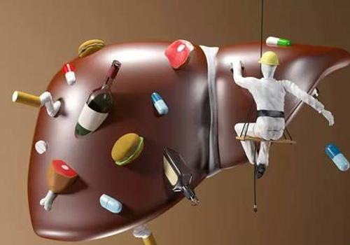 脂肪肝吃什么食物好（脂肪肝吃什么食物好 如何治疗脂肪肝）