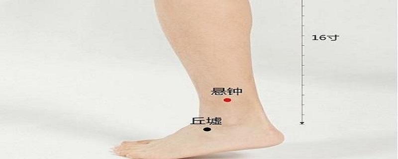 悬钟的定位和主治（悬钟的定位和主治方法）