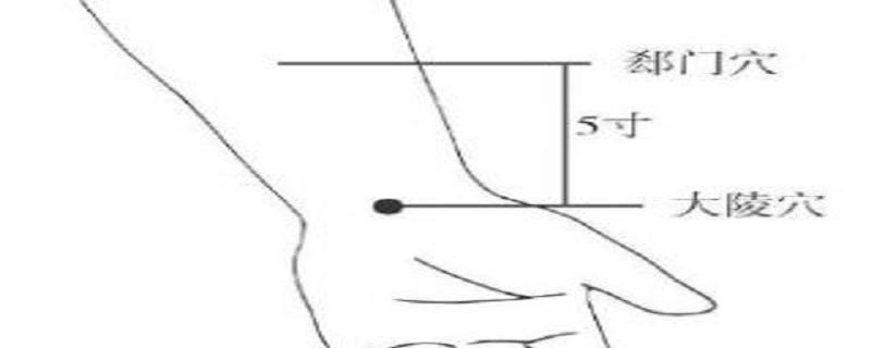 郄门在什么位置 郄门准确位置及作用