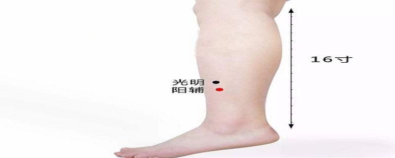 阳辅定位和主治（阳辅的准确位置图作用）