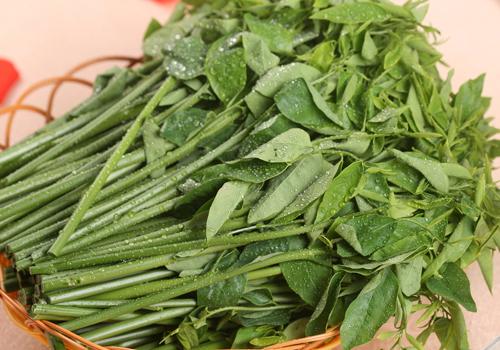 空心菜糖尿病能吃吗 空心菜可以降糖吗