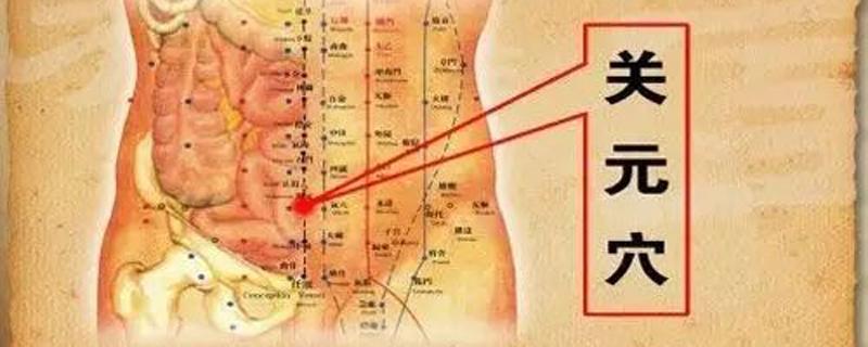 关元的准确位置图和作用 关元的准确位置图和作用视频的准确位置图