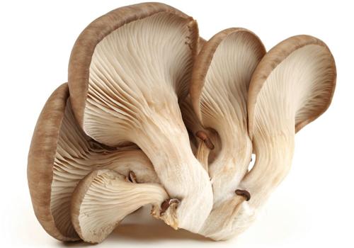 冬天吃什么提高免疫力 冬天吃啥增强免疫力