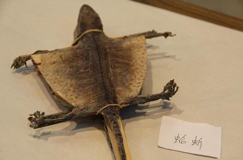 什么中药泡酒补肾壮阳 补肾壮阳用什么中药泡酒