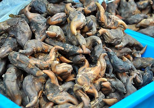 菱角发霉了还能吃吗 菱角发霉吃了会怎样