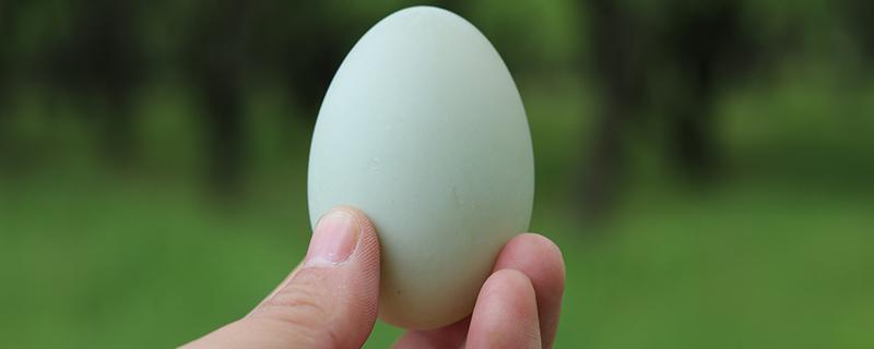 吃乌鸡蛋对女人的好处 女人常吃乌鸡蛋有什么好处