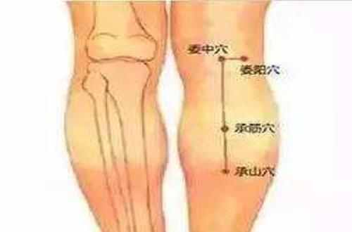 承筋准确位置图和作用（承筋的定位方法图片）