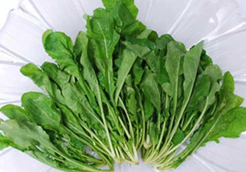 月子里可以吃荠菜吗 有什么好处？怎么吃比较好？