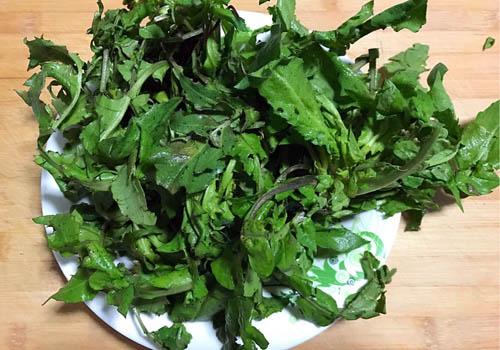 哺乳期吃荠菜会回奶吗(哺乳期间能吃荠菜吗)