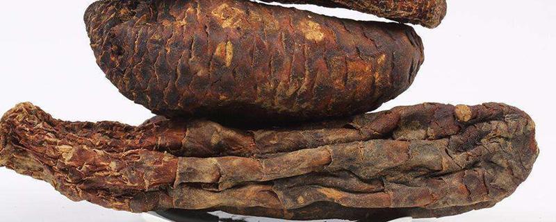 肉苁蓉怎么吃补肾（肉苁蓉怎么吃补肾效果最好）