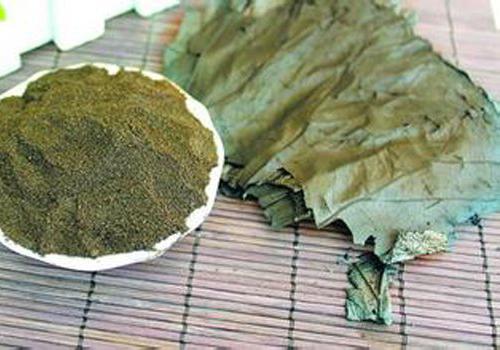 薄荷叶的营养价值（薄荷叶的营养成分）