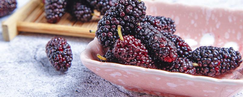 桑葚泡水喝有什么作用 桑葚泡水可以长期喝吗